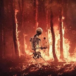 Meet your Posher, Tony